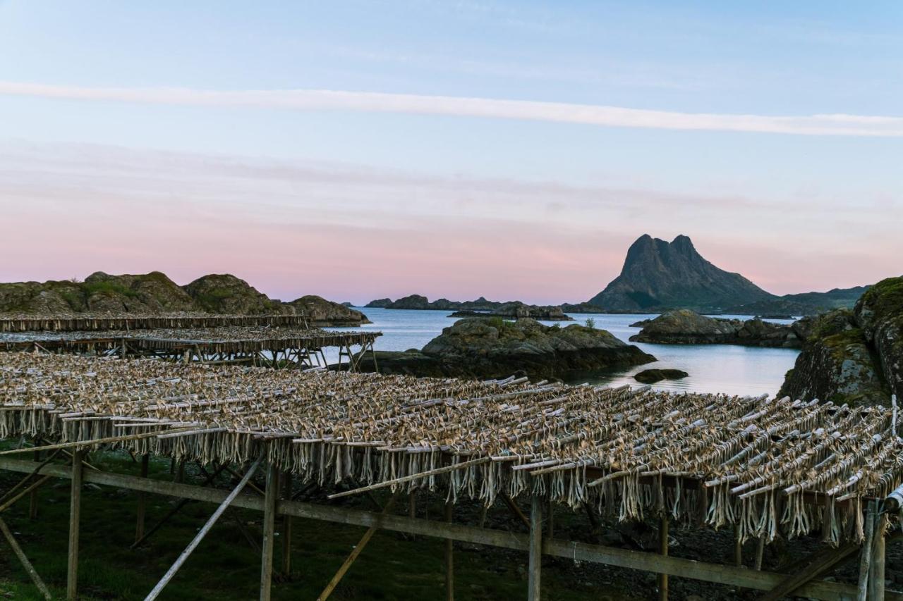 Live Lofoten Hotel Stamsund Dış mekan fotoğraf